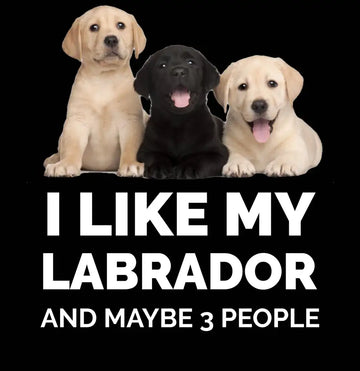 Labrador Premium Black T-Shirt | Premium Design | Catch My Drift India